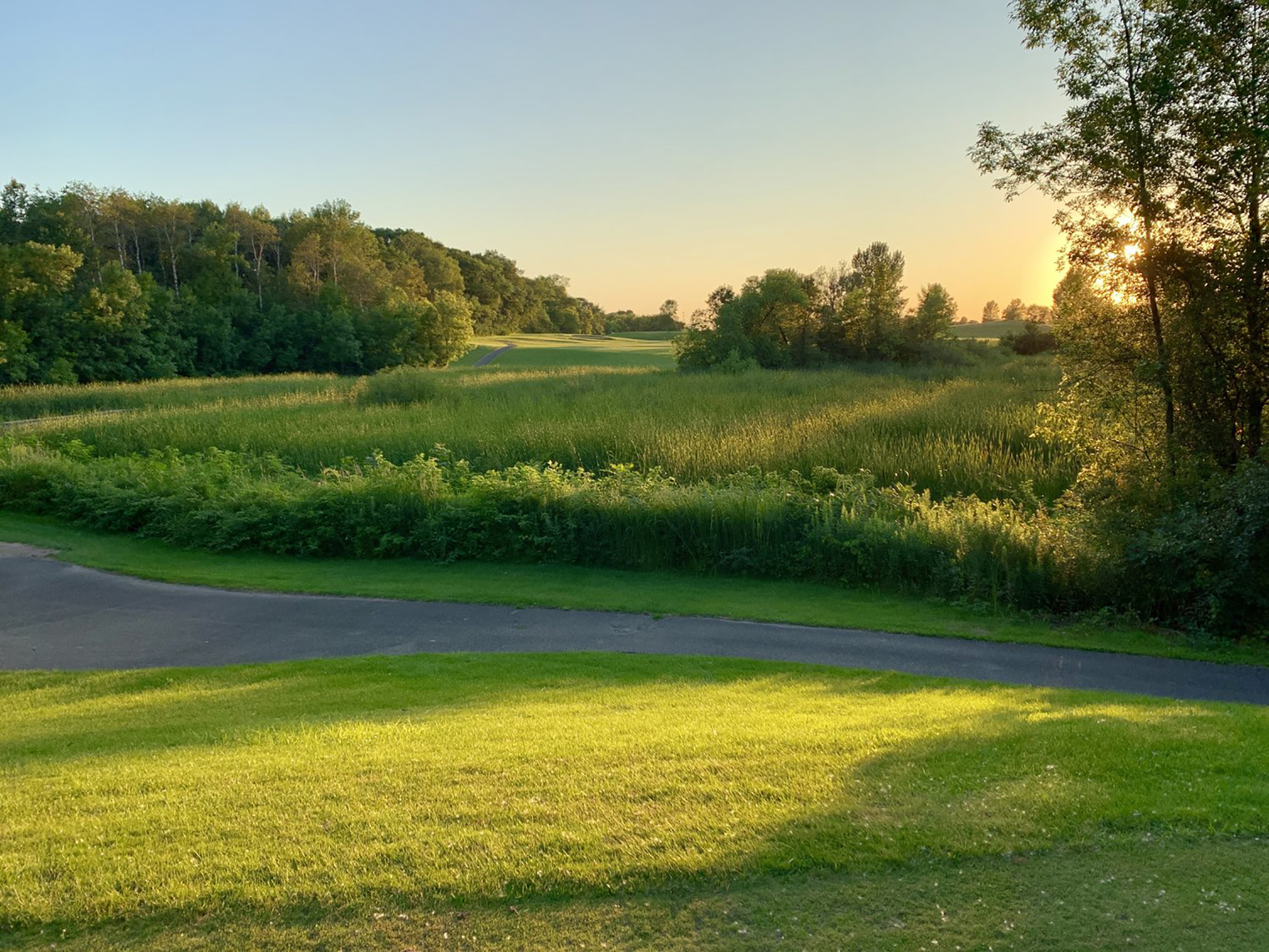 Cart path on golf course